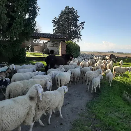 Apartamento Cascina Brignolo Novara Exterior foto