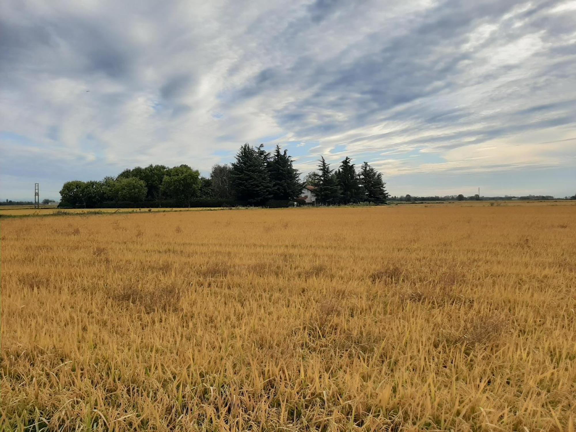 Cascina Brignolo